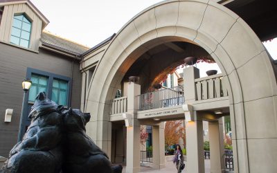 UC Berkeley Haas MBA Deadlines for 2020-2021